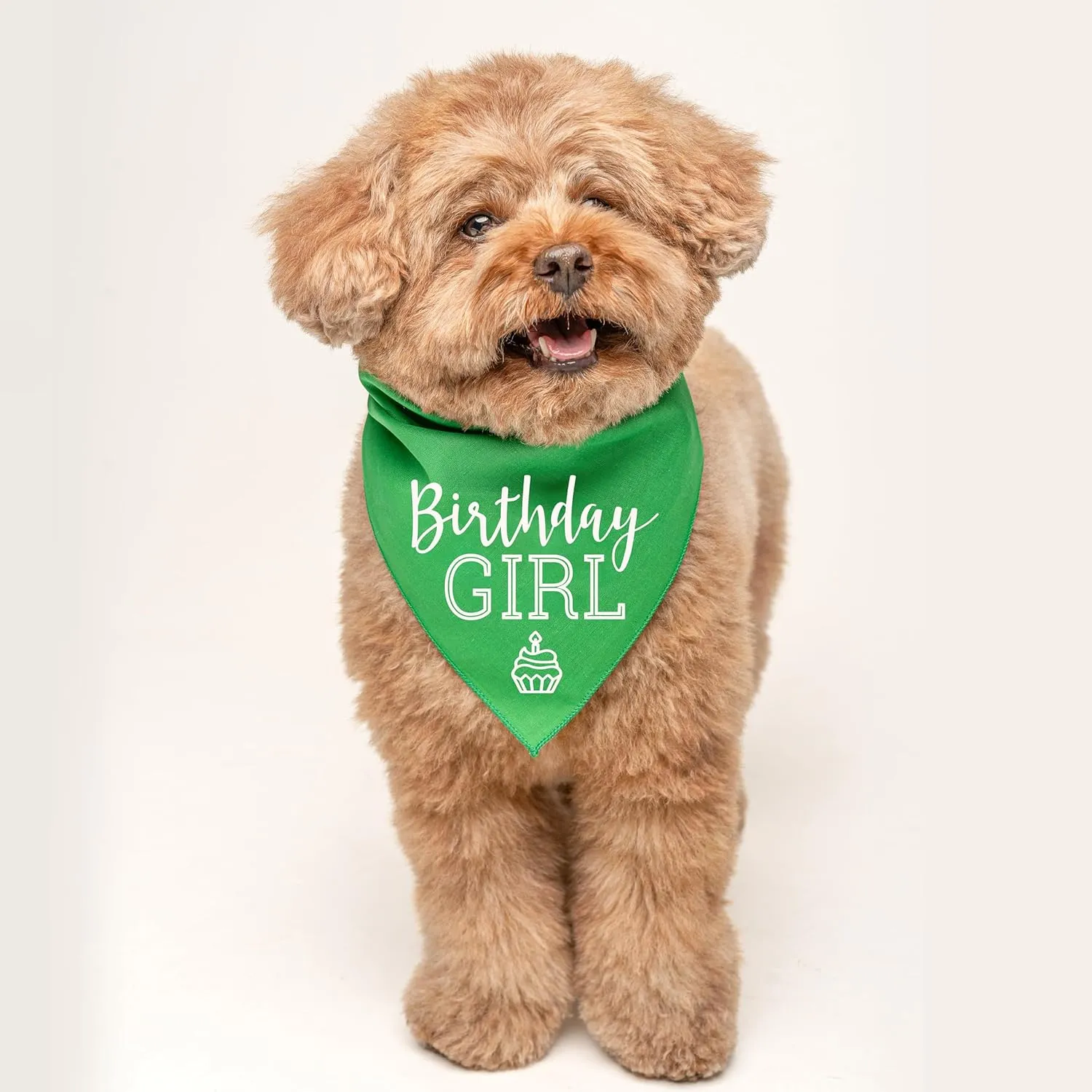 Birthday Girl with Cupcake Dog Bandana | 100% Cotton | Made in USA | Birthday | Pawty | Party Theme | Celebration Supplies | Photoshoot | Baby Pink, One Size (215)