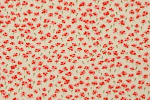 Chiyogami Pink Cosmos on Silver