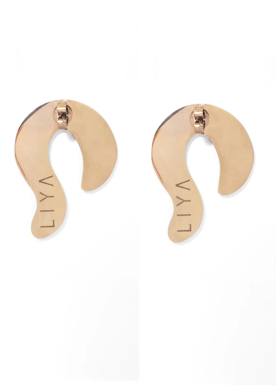 RED ZEBRA EARRINGS